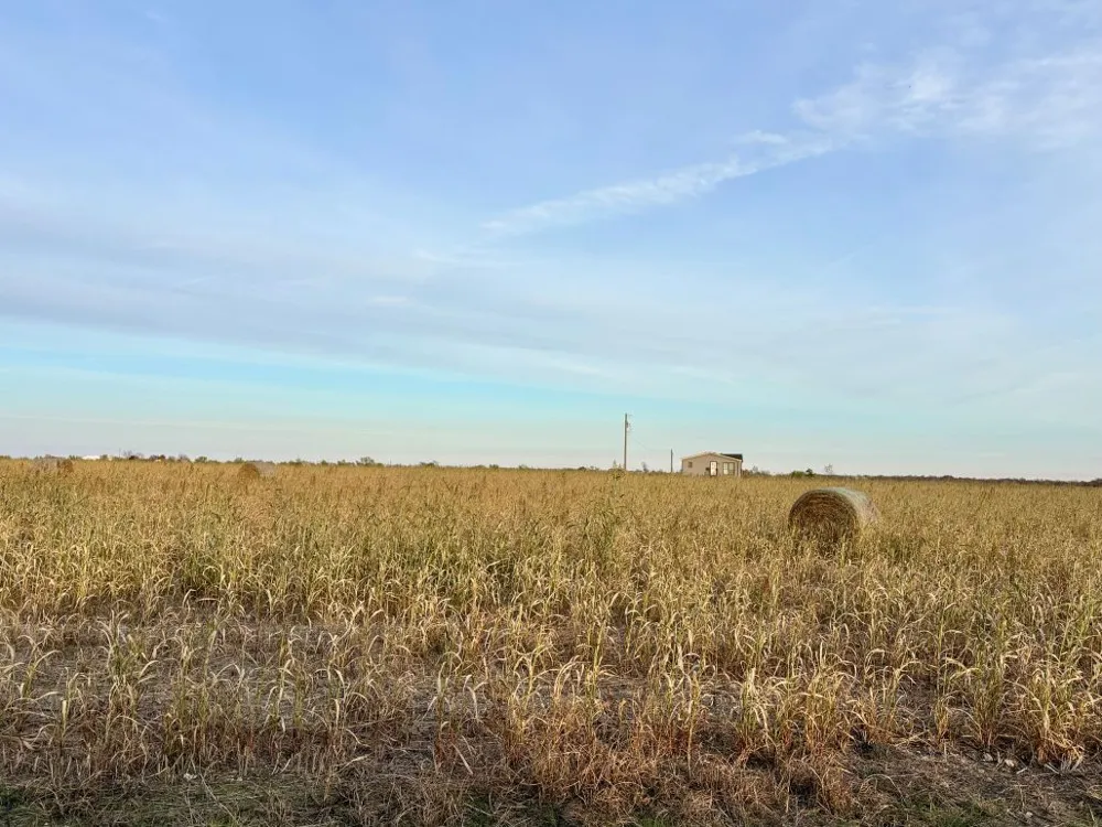366 County Road 123 Buckholts, TX 76518