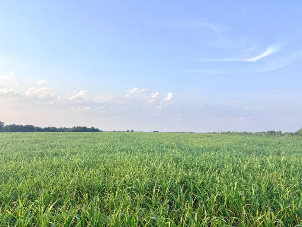 366 County Road 123 Buckholts, TX 76518