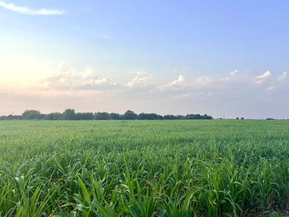 366 County Road 123 Buckholts, TX 76518