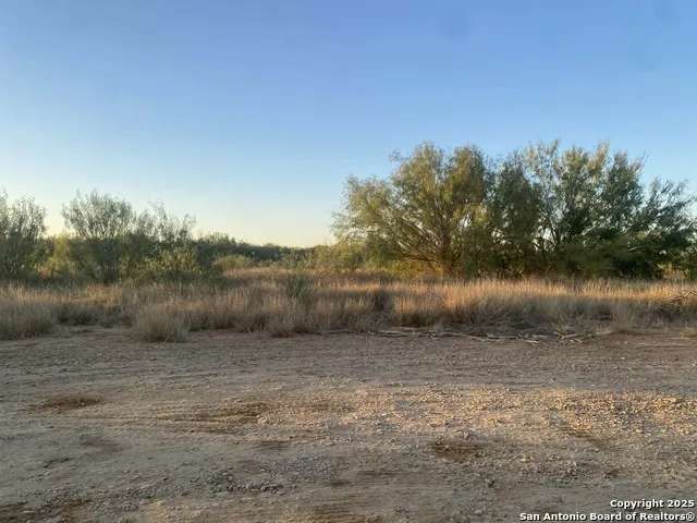117 W FM Dilley, TX 78017
