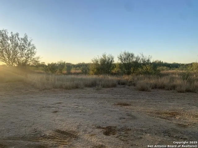 117 W FM Dilley, TX 78017