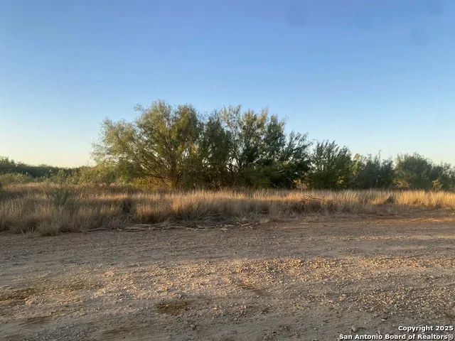 117 W FM Dilley, TX 78017