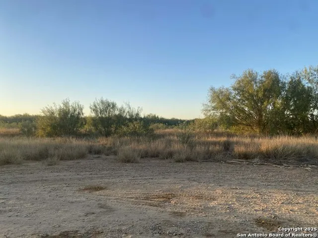 117 W FM Dilley, TX 78017