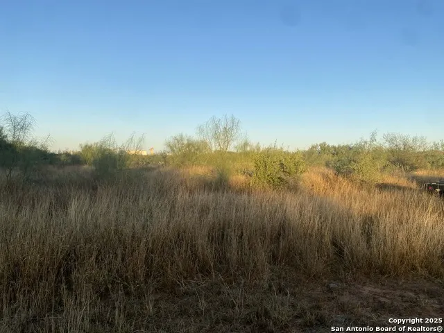 117 W FM Dilley, TX 78017