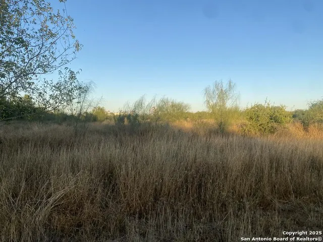 117 W FM Dilley, TX 78017