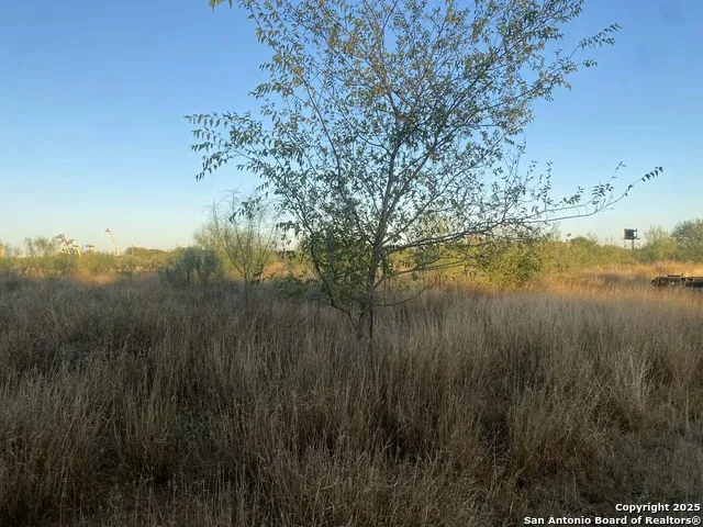 117 W FM Dilley, TX 78017