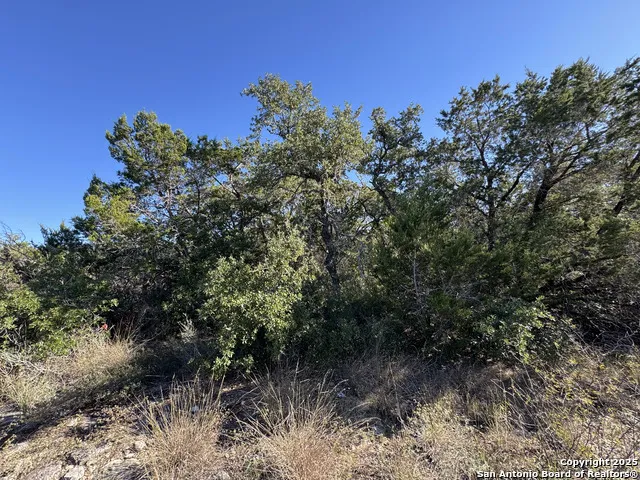 LOT 193 County Road 2801 Mico, TX 78056