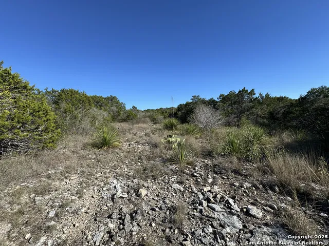 LOT 193 County Road 2801 Mico, TX 78056