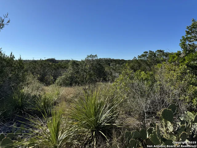 LOT 193 County Road 2801 Mico, TX 78056