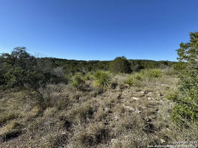 LOT 193 County Road 2801 Mico, TX 78056