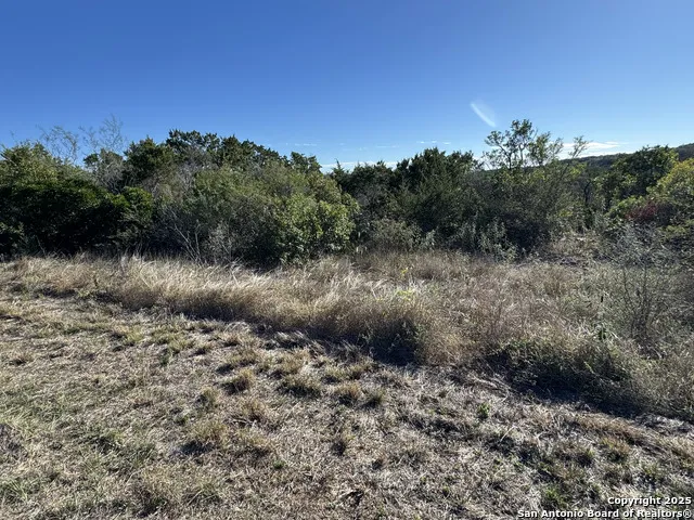LOT 193 County Road 2801 Mico, TX 78056
