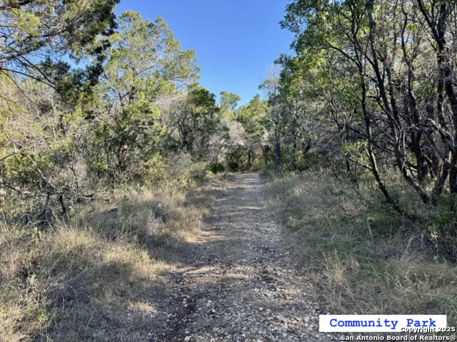 LOT 193 County Road 2801 Mico, TX 78056
