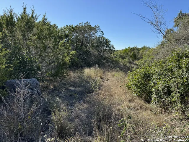 LOT 193 County Road 2801 Mico, TX 78056