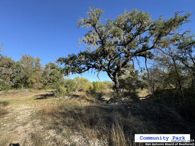 LOT 193 County Road 2801 Mico, TX 78056