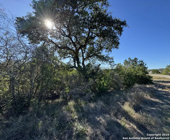 LOT 193 County Road 2801 Mico, TX 78056