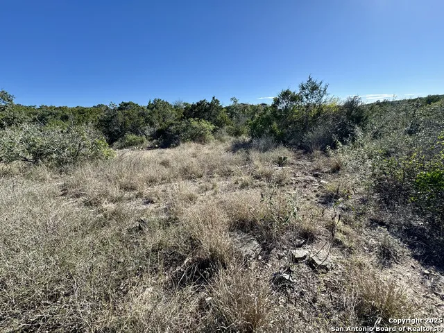 LOT 193 County Road 2801 Mico, TX 78056