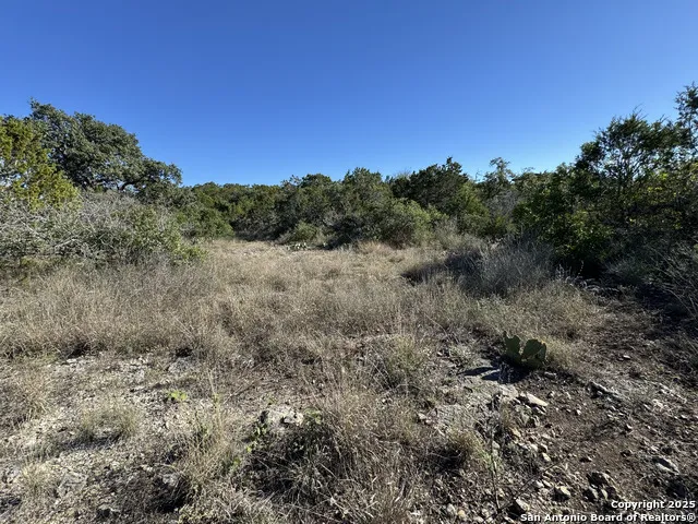 LOT 193 County Road 2801 Mico, TX 78056