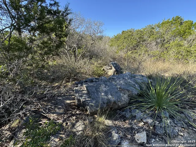 LOT 193 County Road 2801 Mico, TX 78056