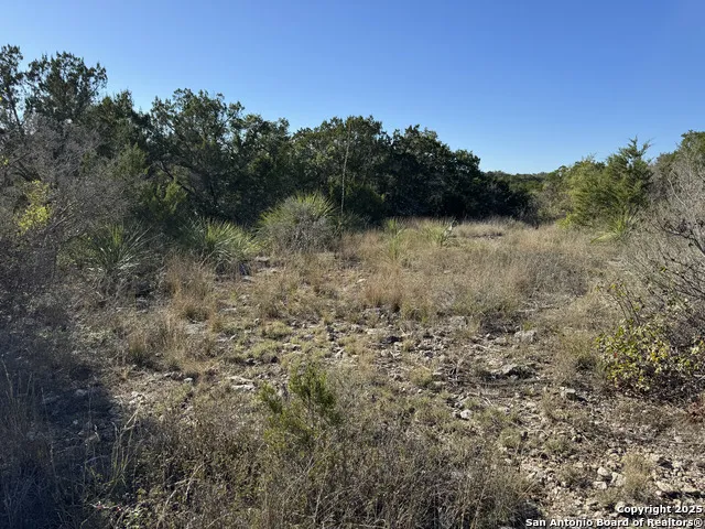 LOT 193 County Road 2801 Mico, TX 78056