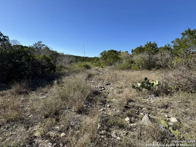 LOT 193 County Road 2801 Mico, TX 78056