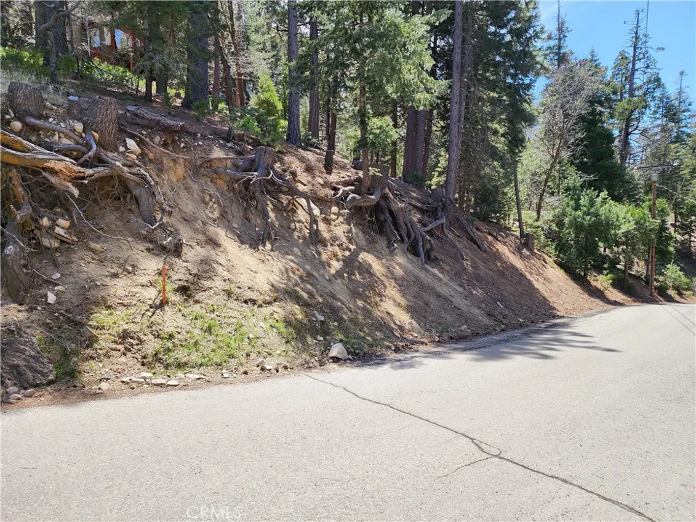 586 Rose Twin Peaks, CA 92391