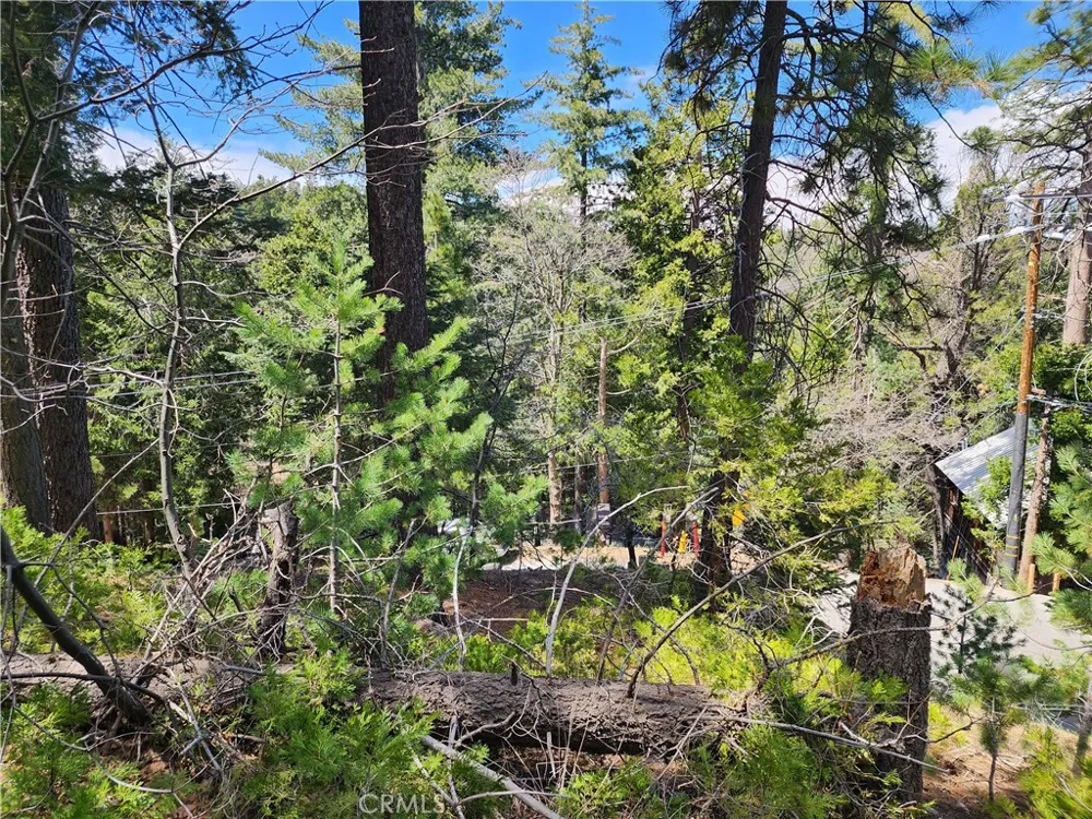 586 Rose Twin Peaks, CA 92391