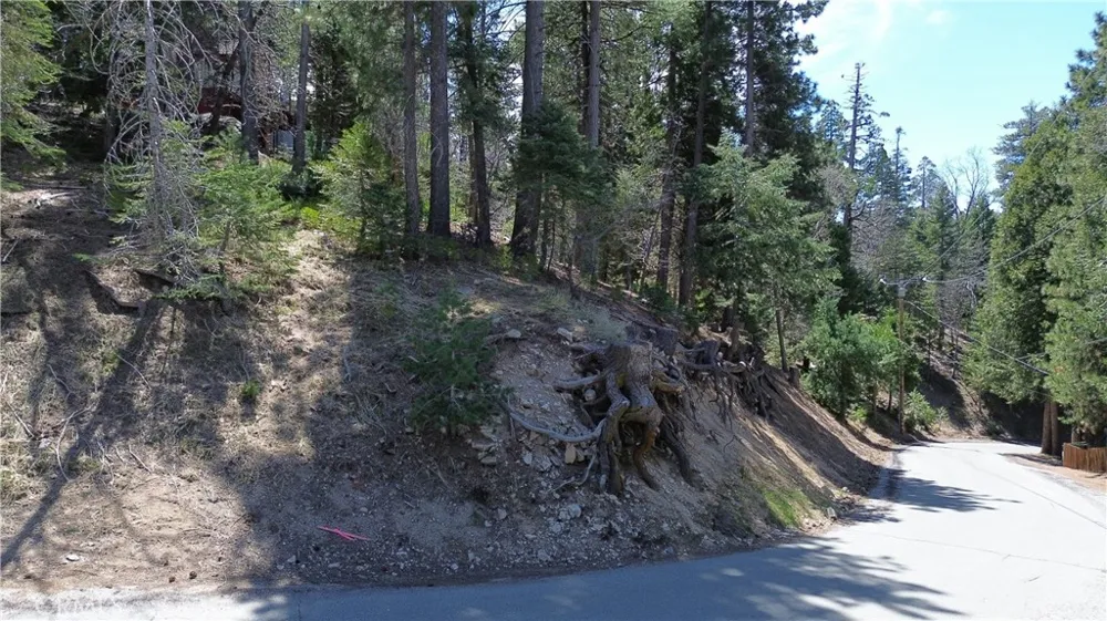 586 Rose Twin Peaks, CA 92391
