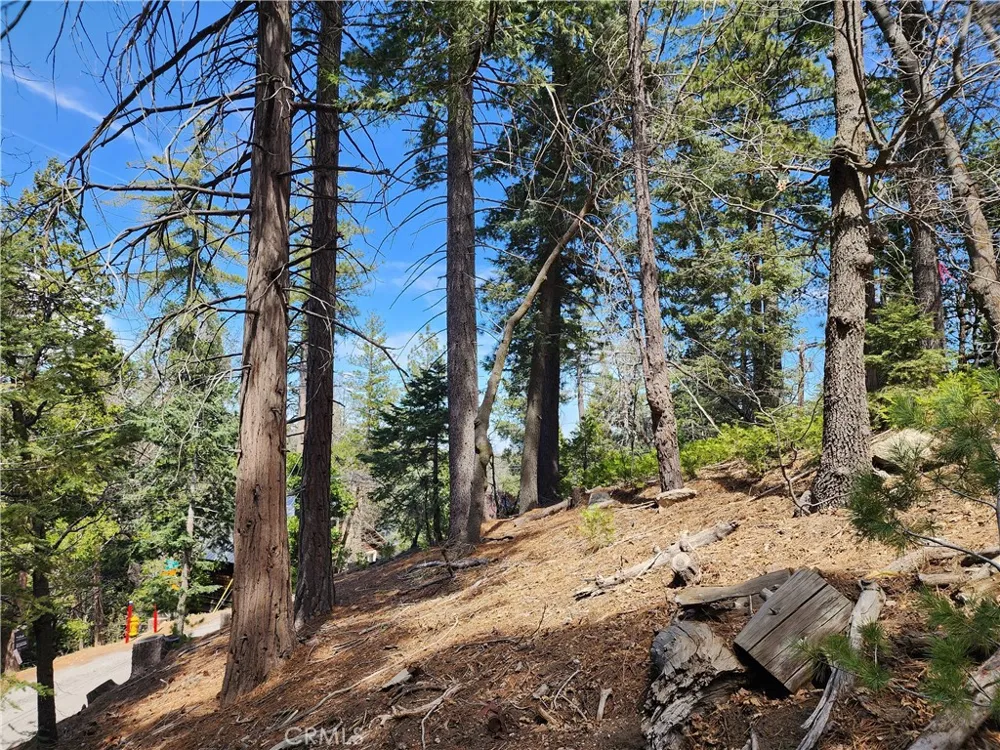586 Rose Twin Peaks, CA 92391