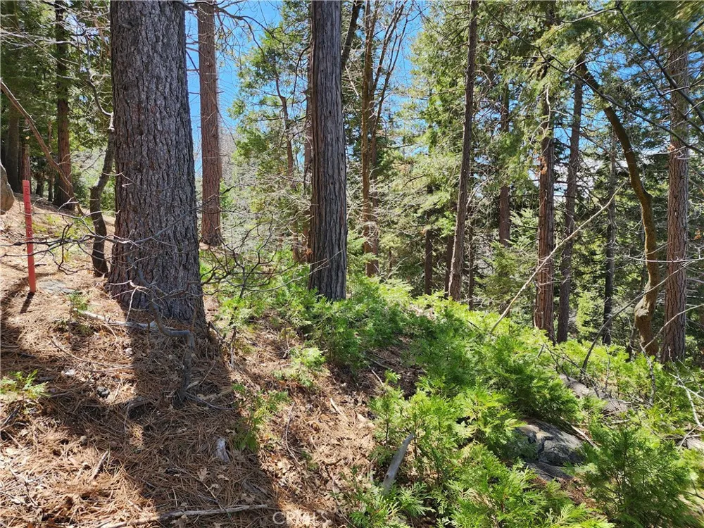 586 Rose Twin Peaks, CA 92391