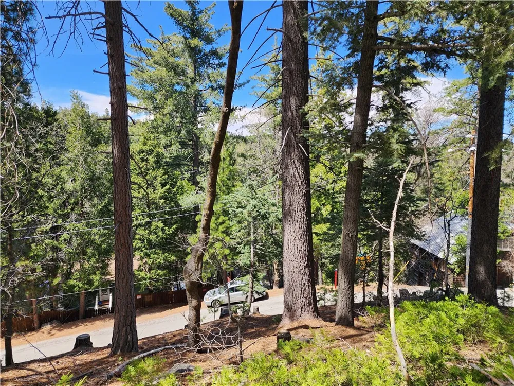 586 Rose Twin Peaks, CA 92391