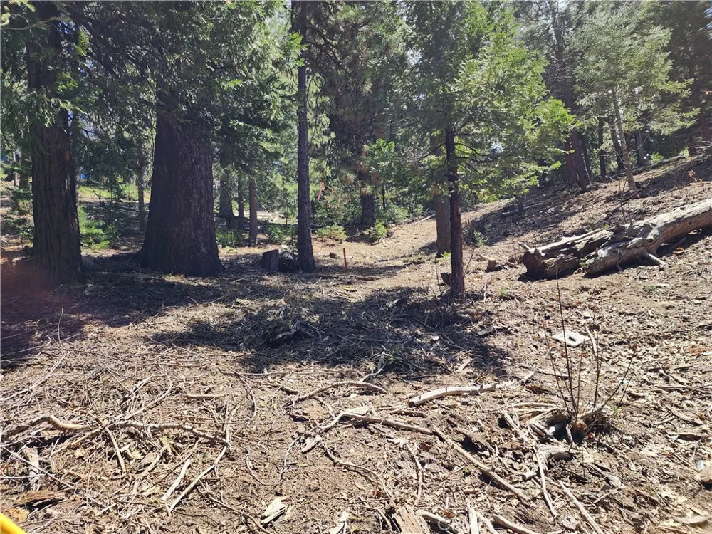 586 Rose Twin Peaks, CA 92391