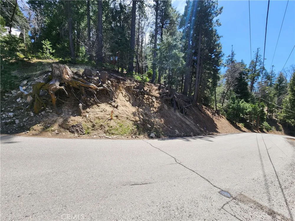586 Rose Twin Peaks, CA 92391