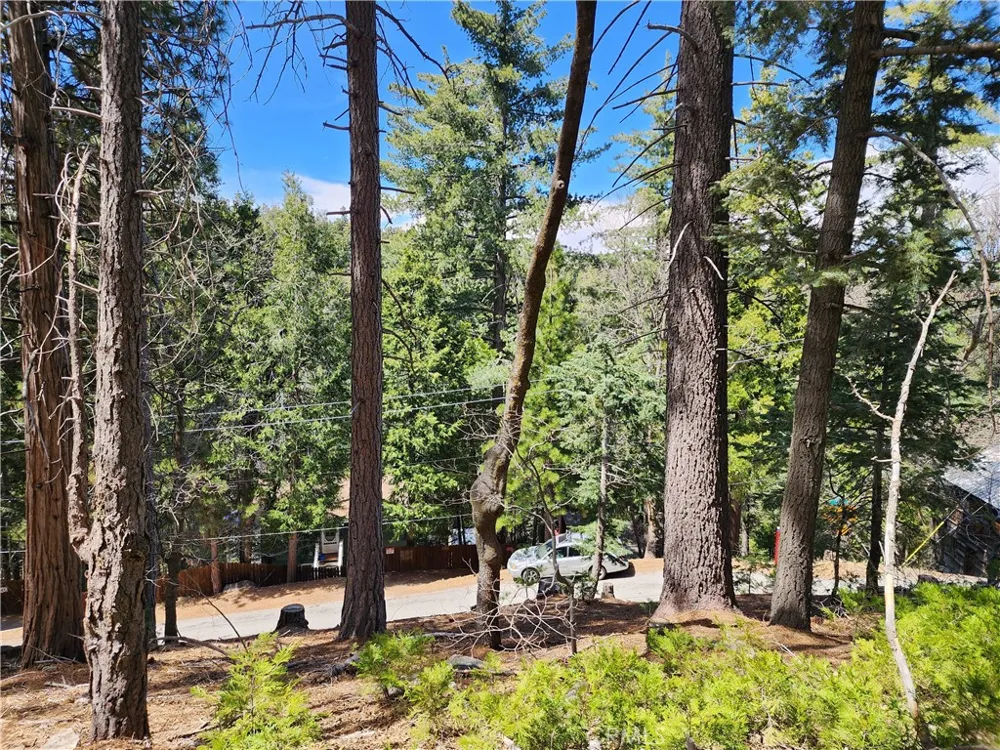 586 Rose Twin Peaks, CA 92391