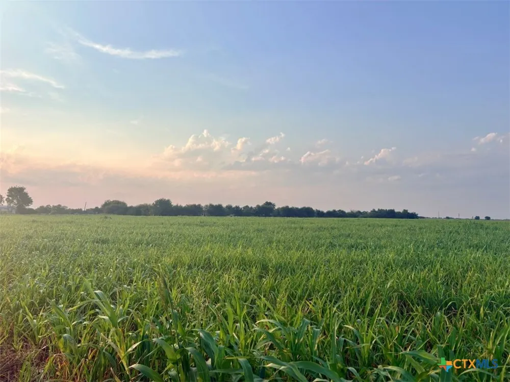 366 County Road 123 Buckholts, TX 76518