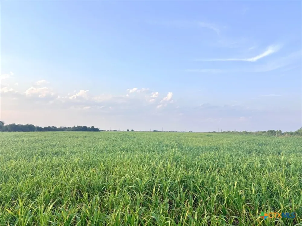 366 County Road 123 Buckholts, TX 76518