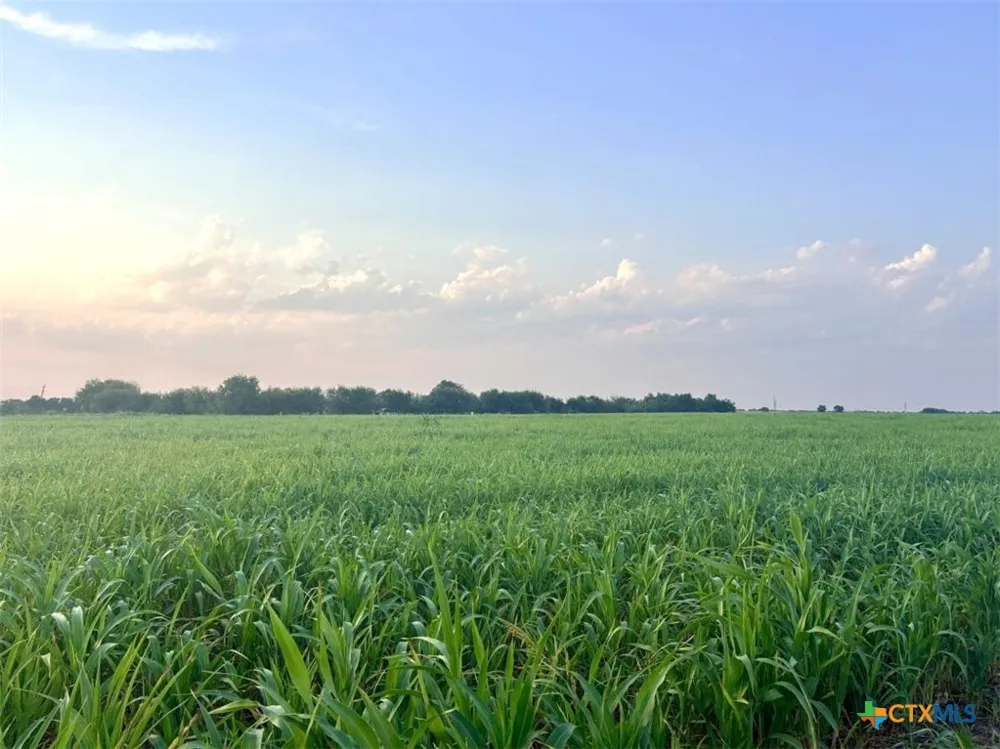 366 County Road 123 Buckholts, TX 76518