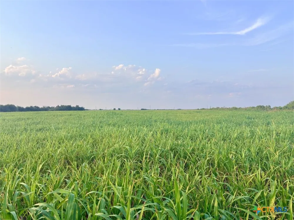 366 County Road 123 Buckholts, TX 76518