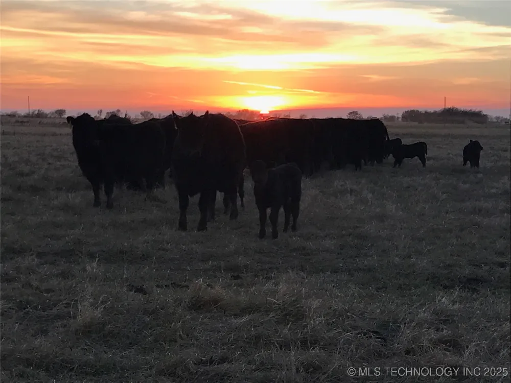 E 180 ROAD Fairland, OK 74343