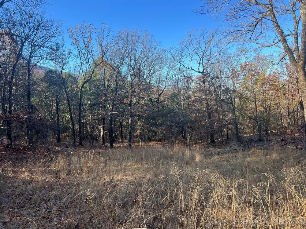 1 Durant Hill Road Poteau, OK 74953