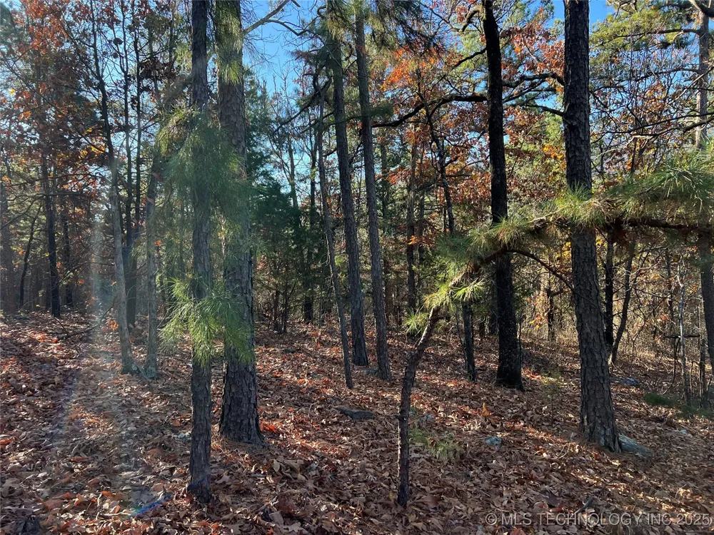 1 Durant Hill Road Poteau, OK 74953