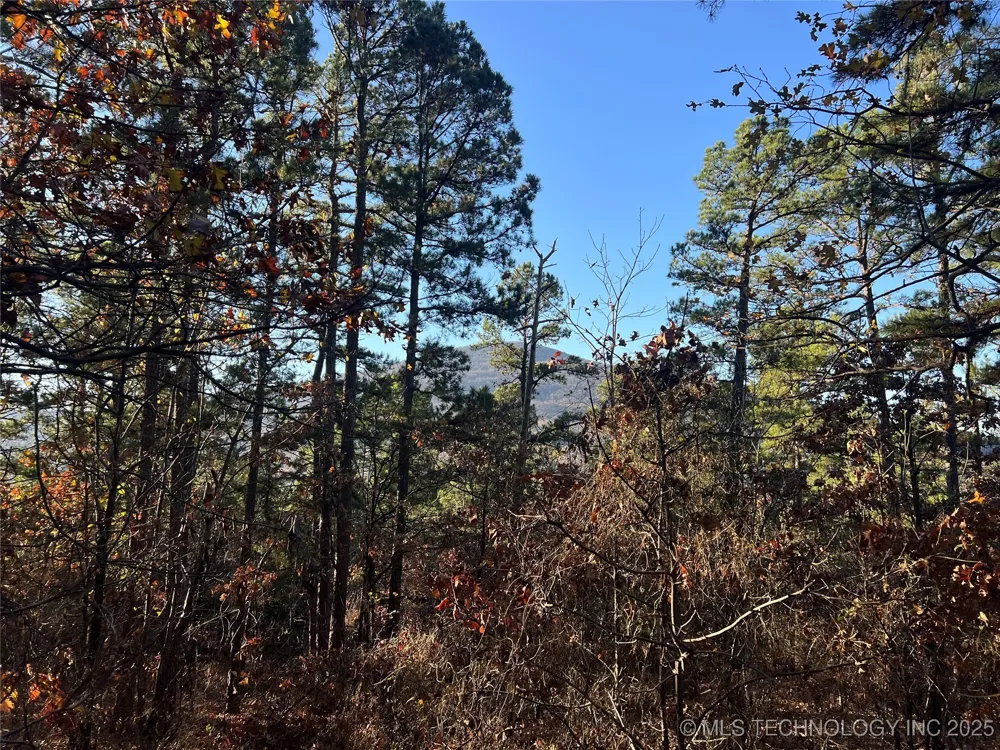 1 Durant Hill Road Poteau, OK 74953