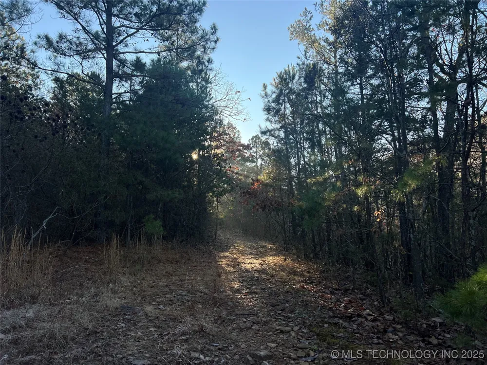 1 Durant Hill Road Poteau, OK 74953