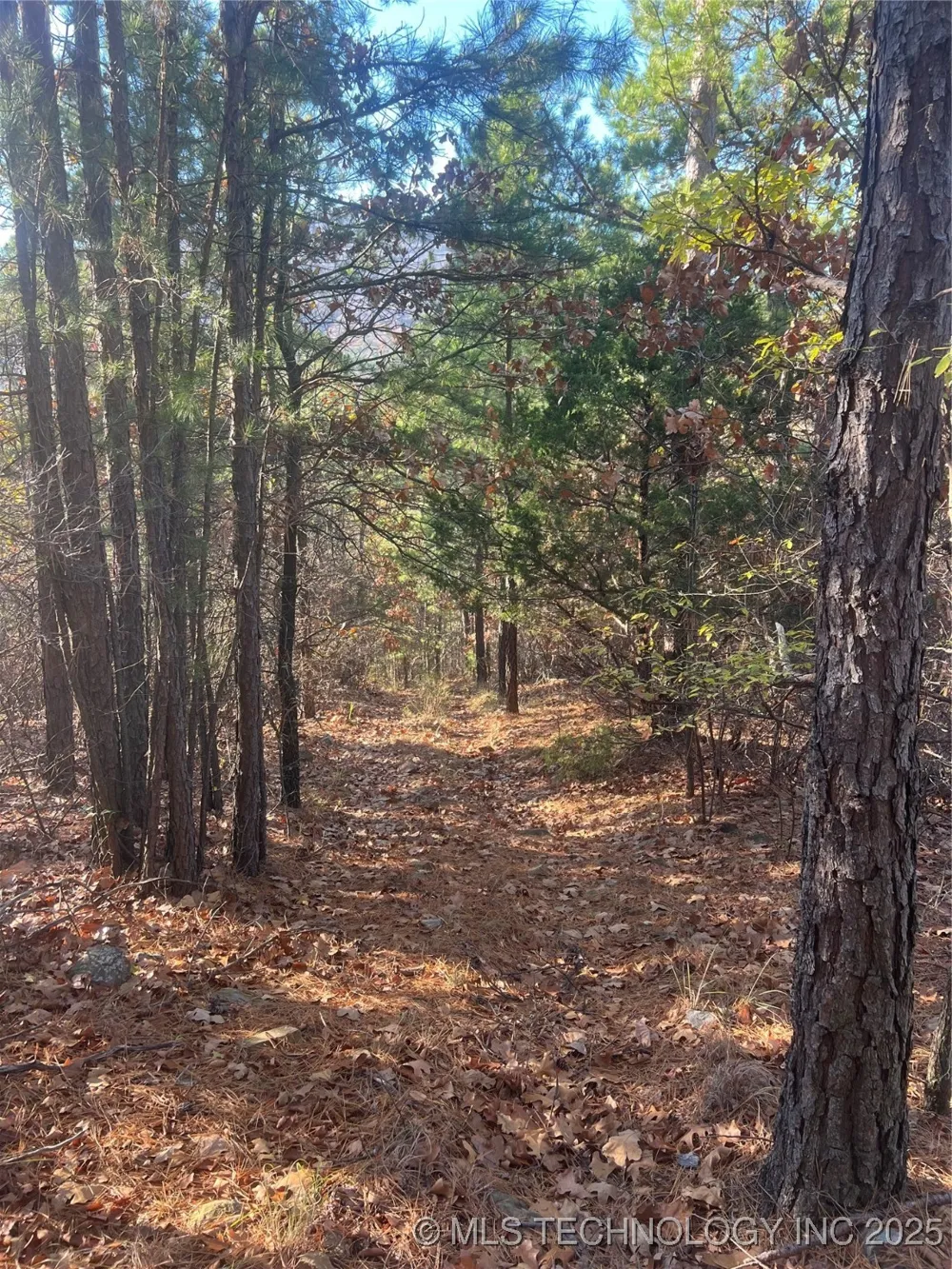 1 Durant Hill Road Poteau, OK 74953