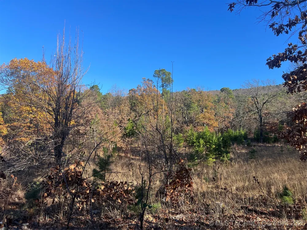 1 Durant Hill Road Poteau, OK 74953