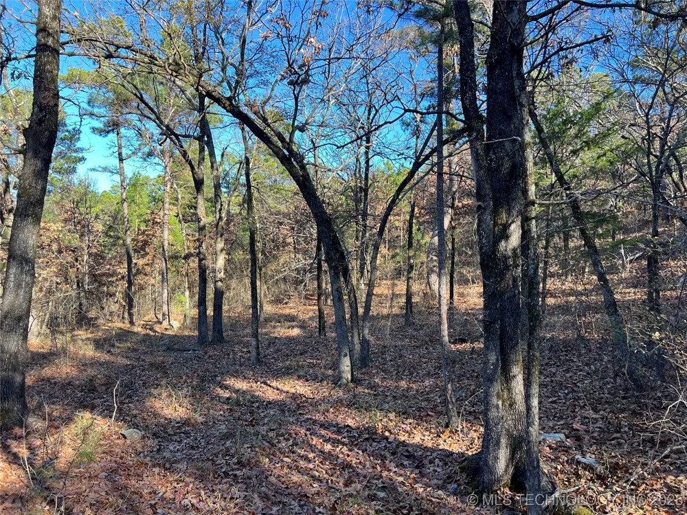 1 Durant Hill Road Poteau, OK 74953
