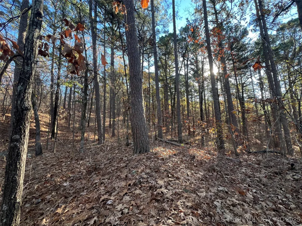 1 Durant Hill Road Poteau, OK 74953
