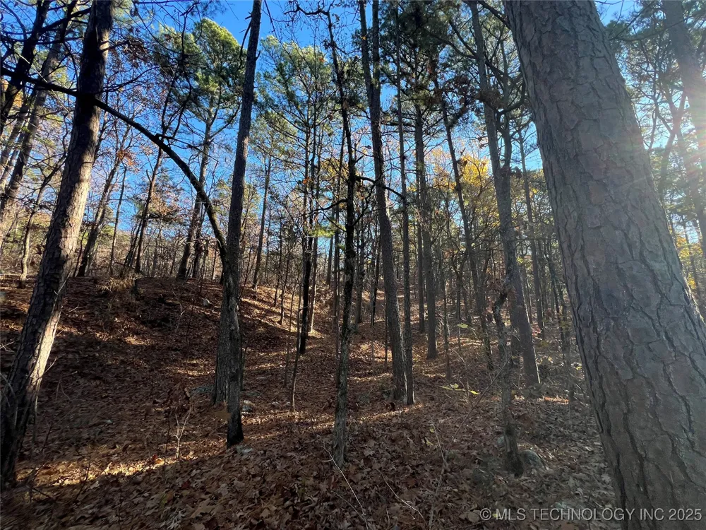 1 Durant Hill Road Poteau, OK 74953