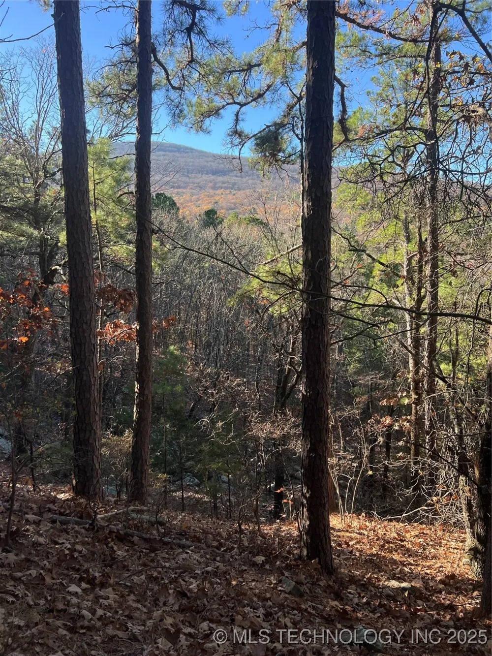 1 Durant Hill Road Poteau, OK 74953