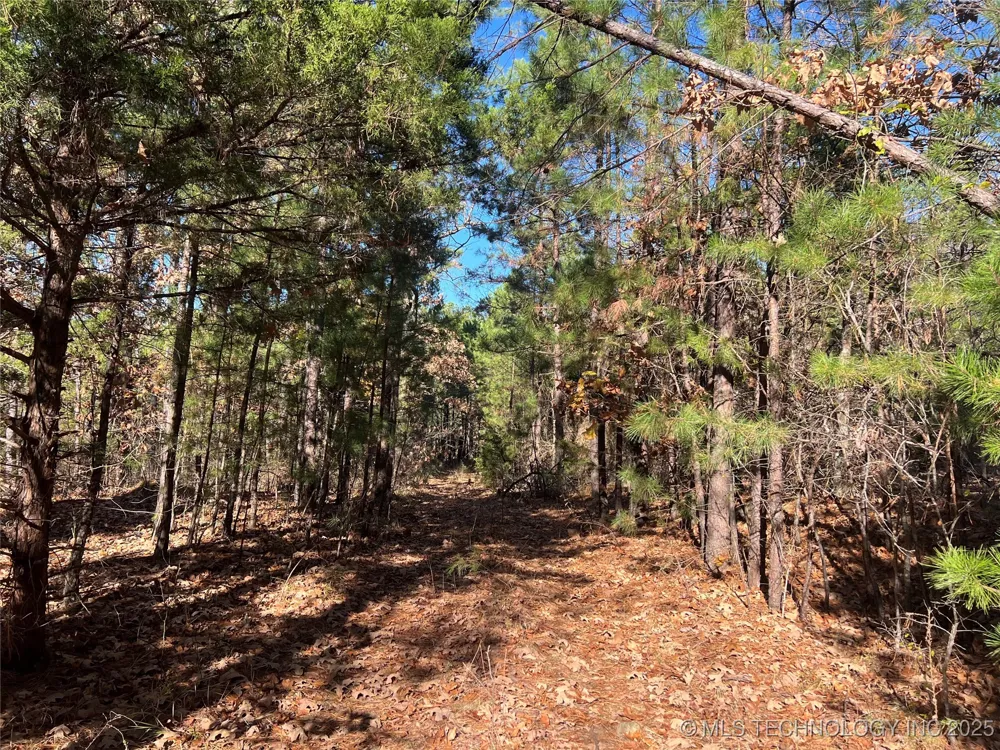 1 Durant Hill Road Poteau, OK 74953