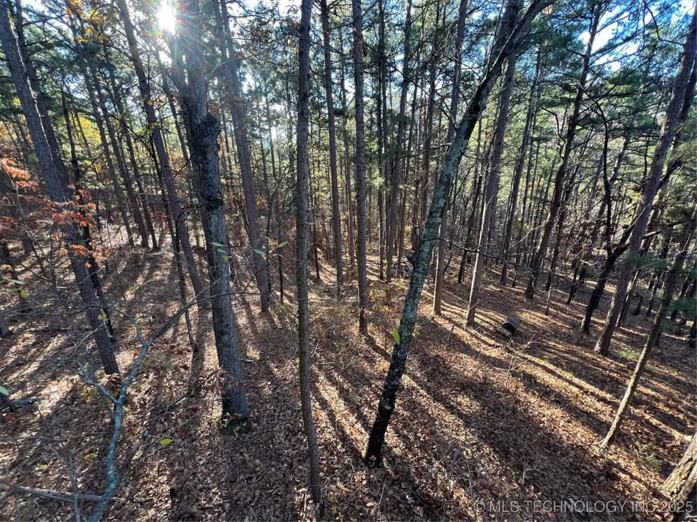 1 Durant Hill Road Poteau, OK 74953